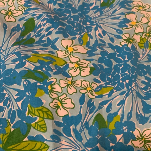 Lilly Pulitzer Dress - Picture 2 of 4